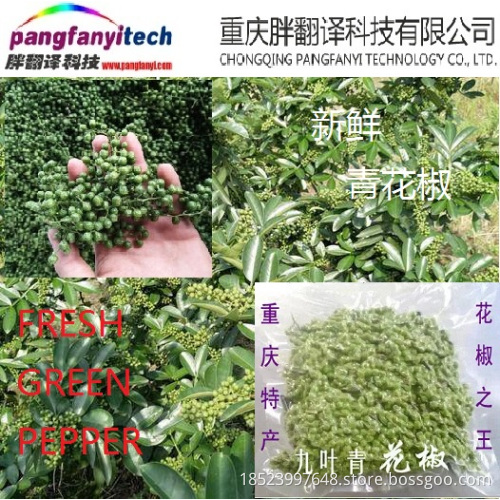 Fresh Nutritional  Spicy Tasty Self-planted Green Pepper